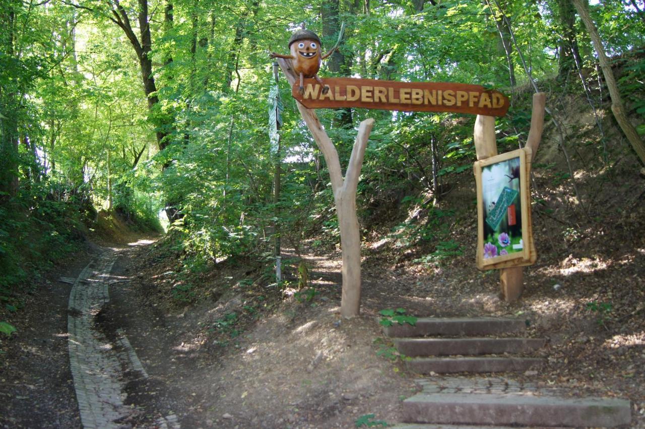 Quellenhaus Feengrotten Saalfeld Saale Dış mekan fotoğraf